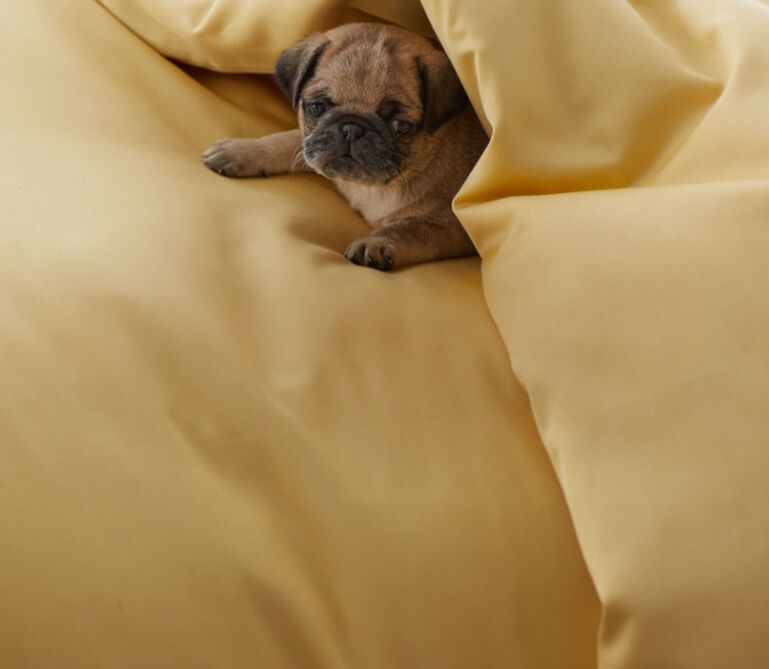  How to Tell if You’re Exhausted—and Fix It